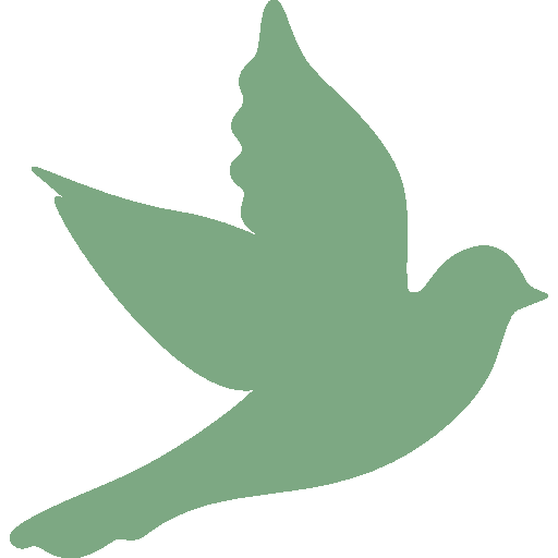 bird-icon